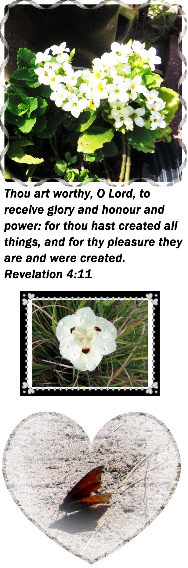 ©Photo Artist Susan Ruth Robertson 09002500610 007 - Copy.JPG