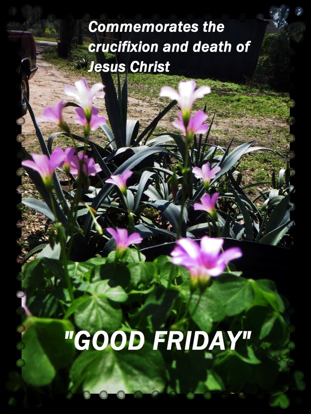 ©Photo Artist Susan Ruth Robertson 09002500610 011 - Copy.JPG