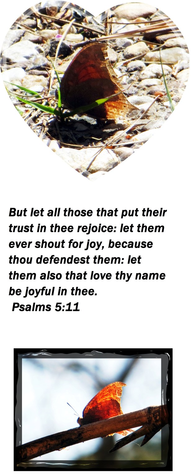 ©Photo Artist Susan Ruth Robertson 09002500610 018 - Copy.JPG