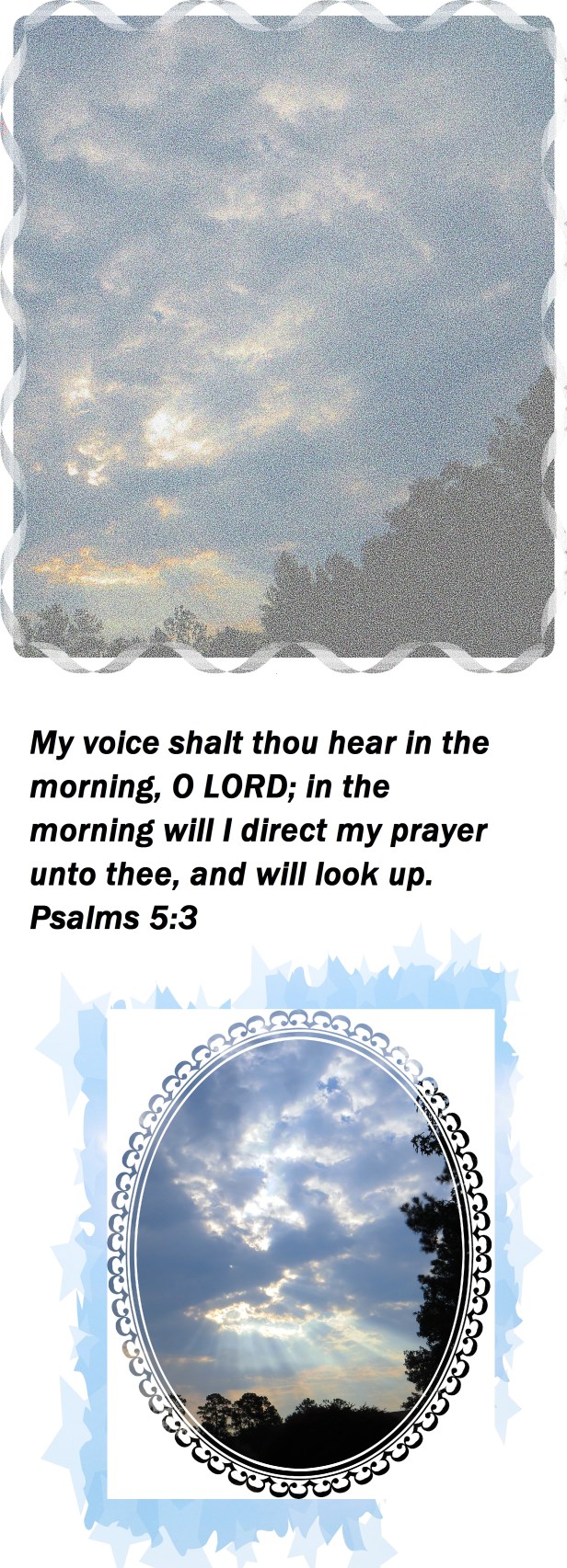 Photo Artist Susan Robertson (11).JPG