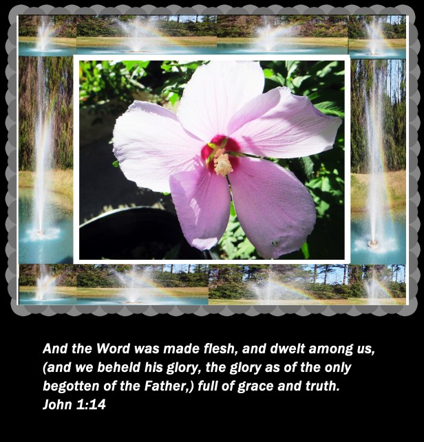 Photo Artist Susan Ruth Robertson 010 - Copy - Copy (3).JPG