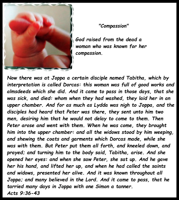 001 - Copy (3) - Copy - Copy - Copy - Copy - Copy.JPG