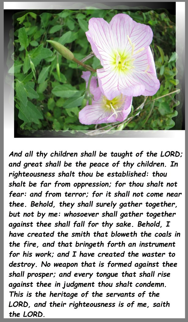 © Photo Artist Susan Ruth Robertson 004 - Copy.JPG