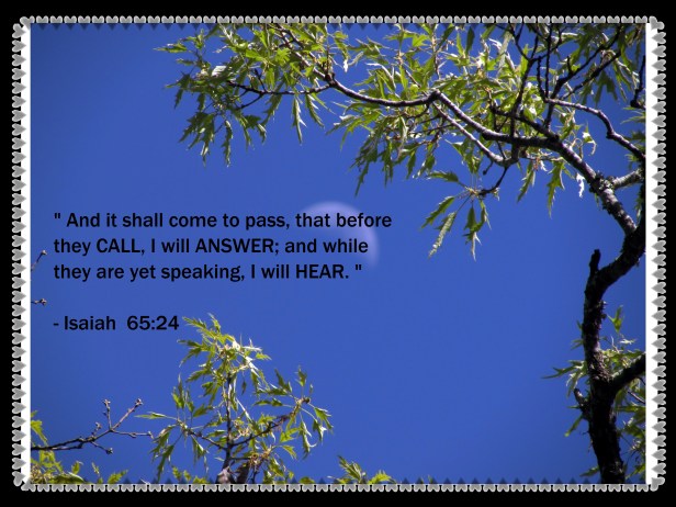 © Photo Artist Susan Ruth Robertson 09002500610 001 - Copy.JPG