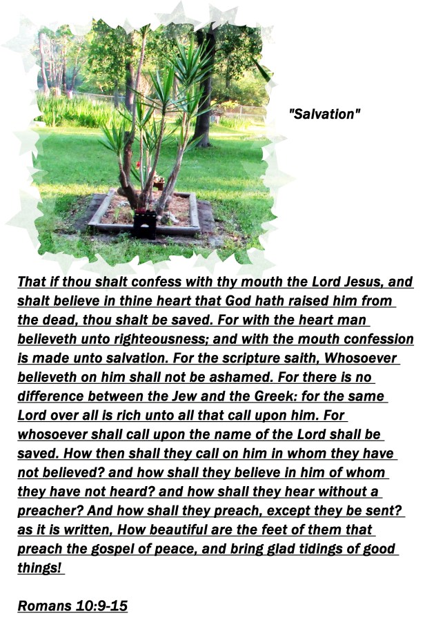 © Photo Artist Susan Ruth Robertson 09002500610 002 - Copy.JPG