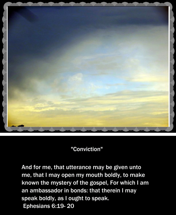 © Photo Artist Susan Ruth Robertson 09002500610 003 - Copy.JPG