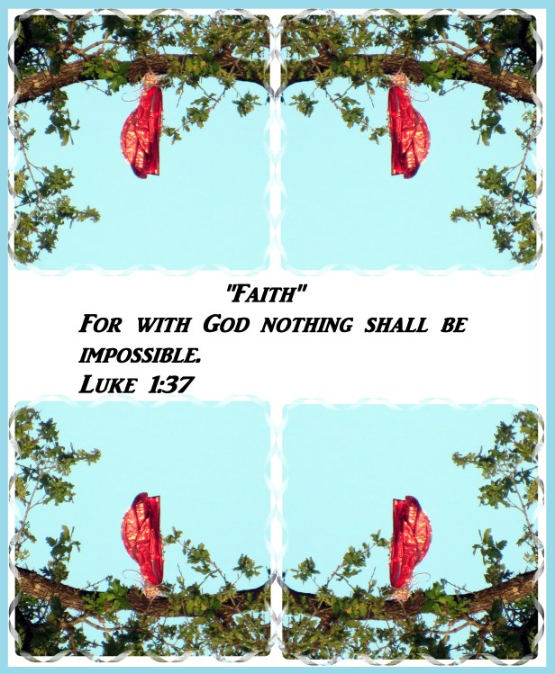 © Photo Artist Susan Ruth Robertson 09002500610 006 - Copy.JPG