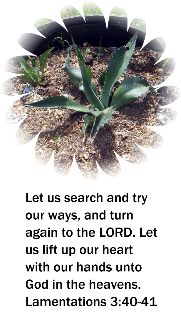 © Photo Artist Susan Ruth Robertson 09002500610 013 - Copy.JPG