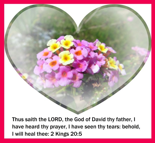 © Photo Artist Susan Ruth Robertson 09002500610 021 - Copy.JPG