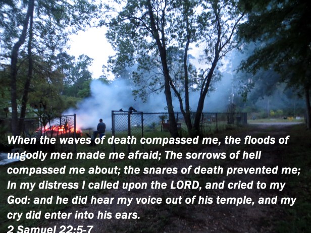 © Photo Artist Susan Ruth Robertson 09002500610 021.JPG