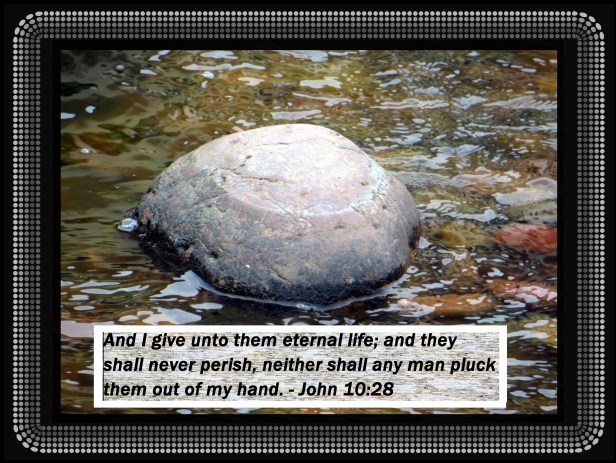 © Photo Artist Susan Ruth Robertson 09002500610 029 - Copy - Copy (2).JPG