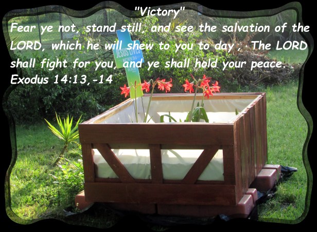 © Photo Artist Susan Ruth Robertson 09002500610 062 - Copy.JPG