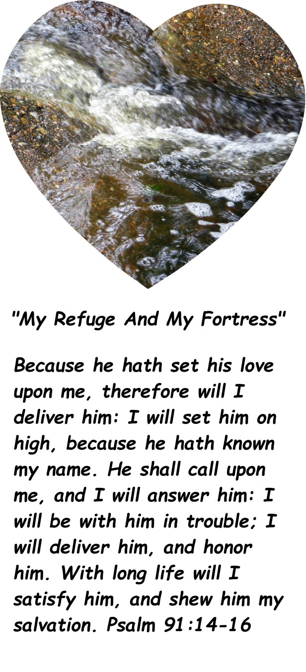 © Photo Artist Susan Ruth Robertson 090025006100 019 - Copy.JPG