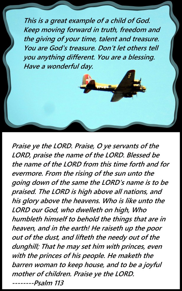 © Photo Artist Susan Ruth Robertson 090025006100 030 - Copy.JPG