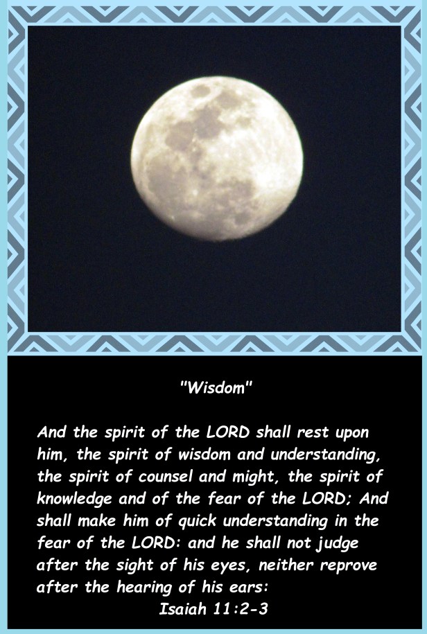 © Photo Artist Susan Ruth Robertson 090025006100 073 - Copy.JPG