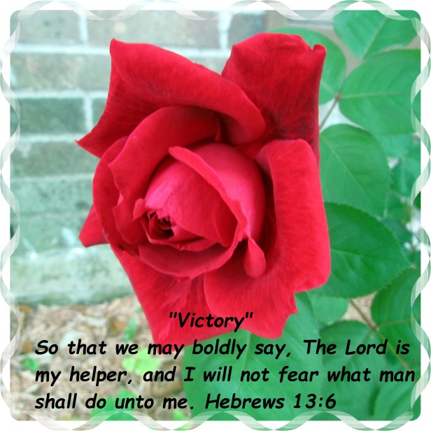 © Photo Artist Susan Ruth Robertson 090025006100 sx 400 IS 009 - Copy.JPG