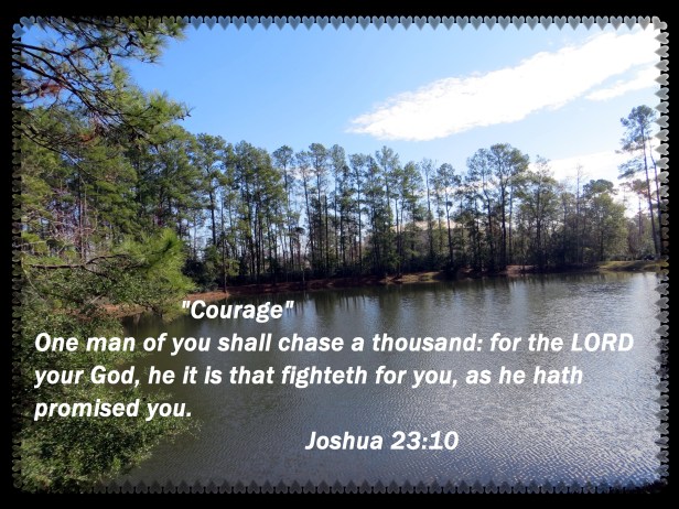 lakepictures1 012 - Copy.JPG