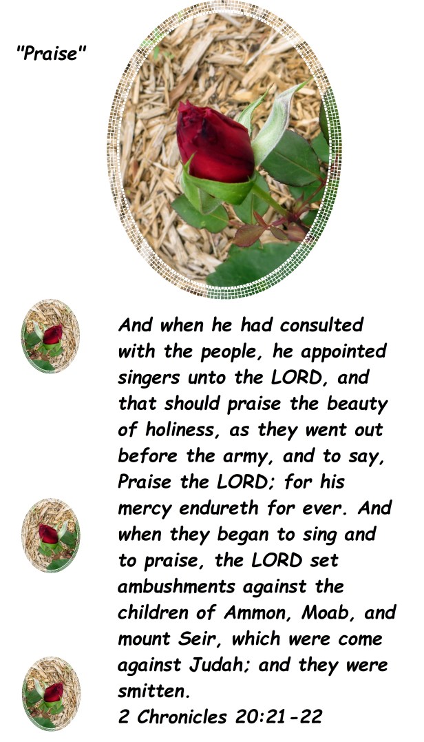 Photo Artist Susan Ruth Robertson 090025006100 003 - Copy.JPG