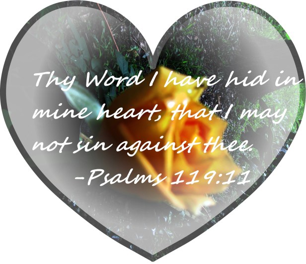 © Photo Artist Susan Ruth Robertson 090025006100 004.JPG