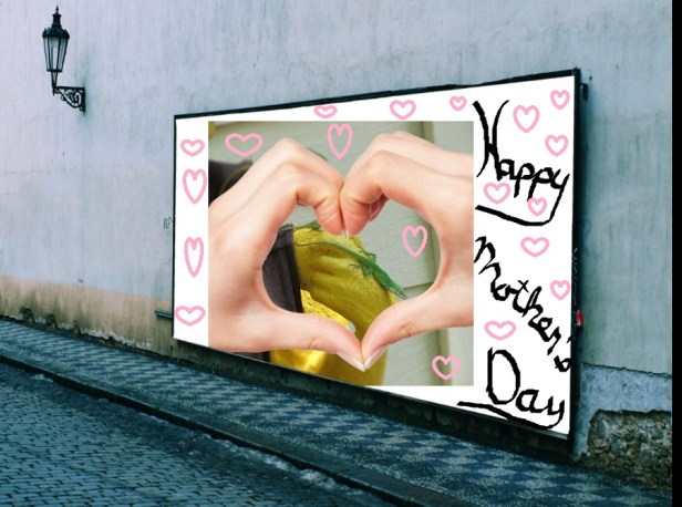 © Photo Artist Susan Ruth Robertson 090025006100 (11) - Copy.jpeg