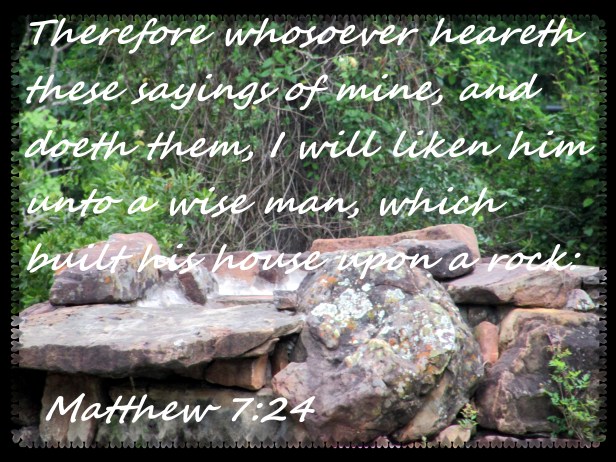 © Photo Artist Susan Ruth Robrtson 090025006100 010 - Copy.JPG