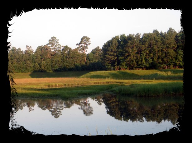 © Photo Artist Susan Ruth Robertson 090025006100 004.JPG