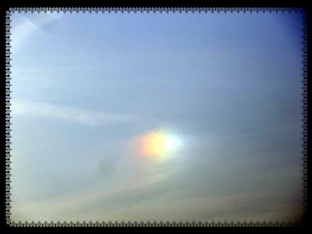 © Photo Artist Susan Ruth Robertson 090025006100 004.JPG