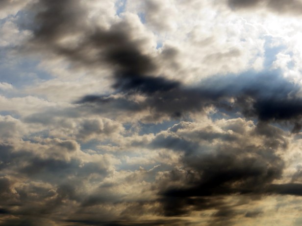 © Photo Artist Susan Ruth Robertson 090025006100 004.JPG