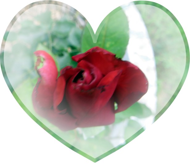 © Photo Artist Susan Ruth Robertson 090025006100 007.JPG