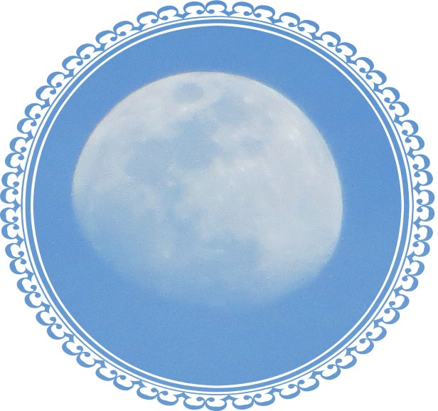 © Photo Artist Susan Ruth Robertson 090025006100 029.JPG