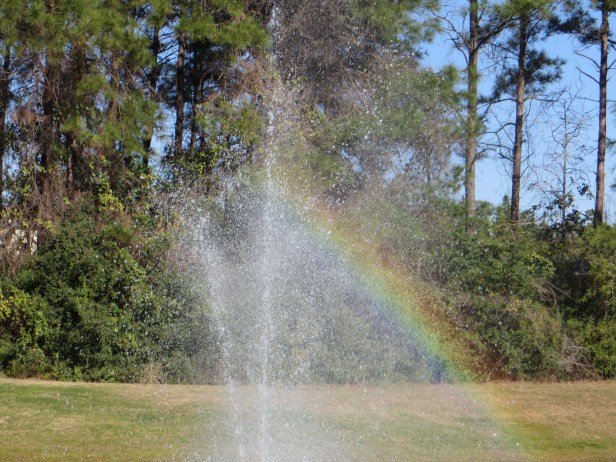 Photo Artist Susan Robertson all Rights Reserved 029.JPG