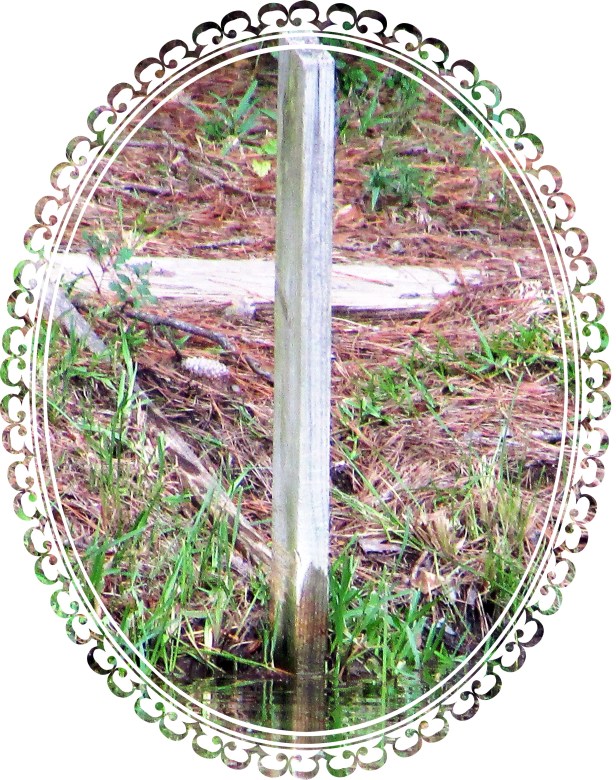 SX400IS © Photo Artist Susan Ruth Robertson 090025006100 001.JPG