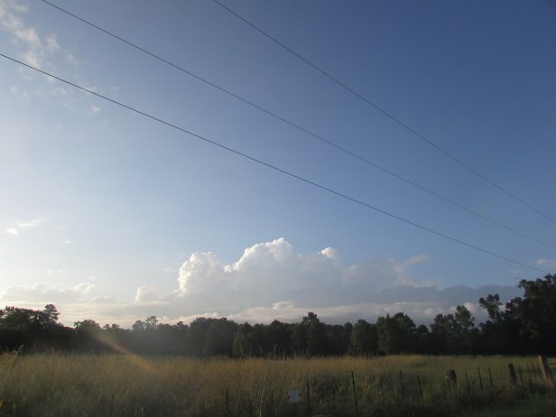 SX400IS © Photo Artist Susan Ruth Robertson 090025006100 001.JPG