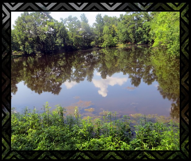 © Photo Artist Susan Ruth Robertson 090-025006100 044.JPG