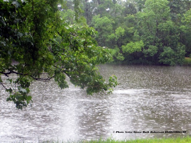 © Photo Artist Susan Ruth Robertson 090025006100 002.JPG