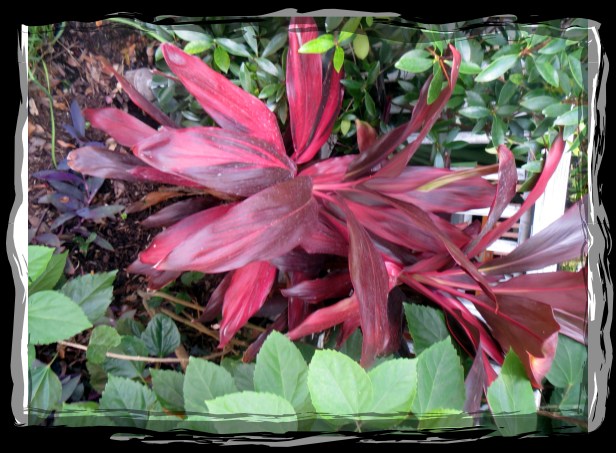 © Photo Artist Susan Ruth Robertson 090025006100 013.JPG