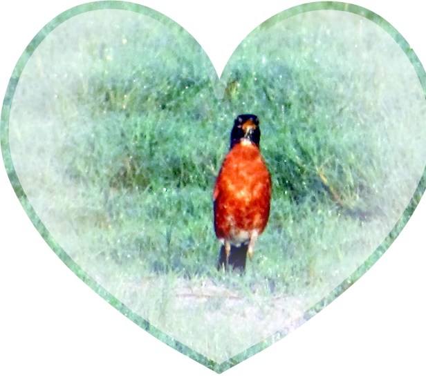 ©Photo Artist Susan Ruth Robertson 090025006100 026.JPG