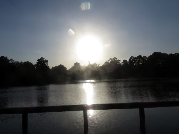 SX260 HS © Photo Artist Susan Ruth Robertson 090025006100 003.JPG