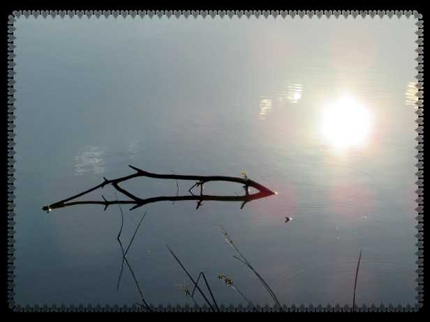 SX400 IS © Photo Artist Susan Ruth Robertson 090025006100 009.JPG