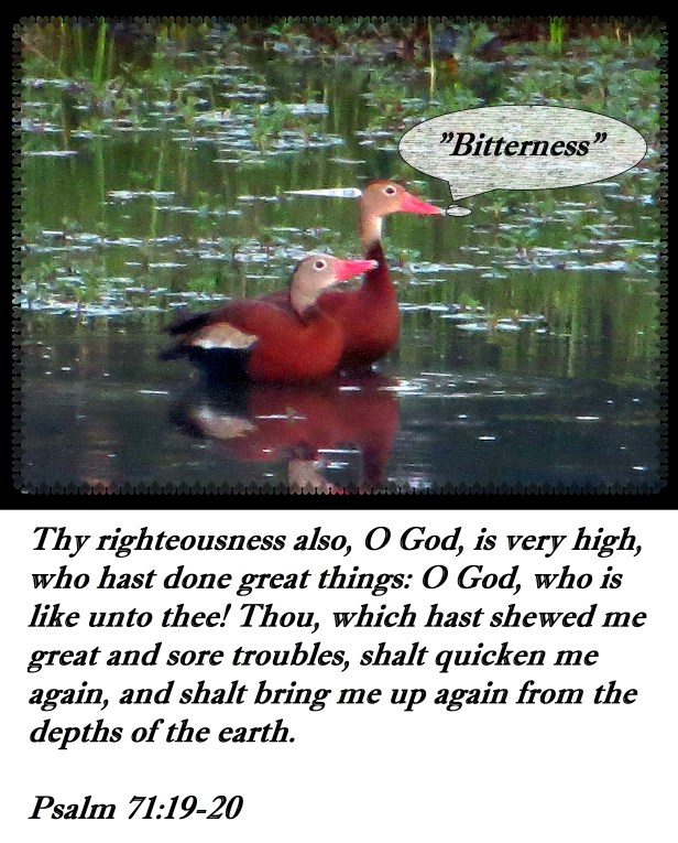 © Photo Artist Susan Ruth Robertson 090025006100 004.JPG