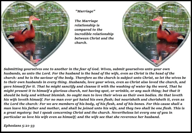 © Photo Artist Susan Ruth Robertson 090025006100 007.JPG