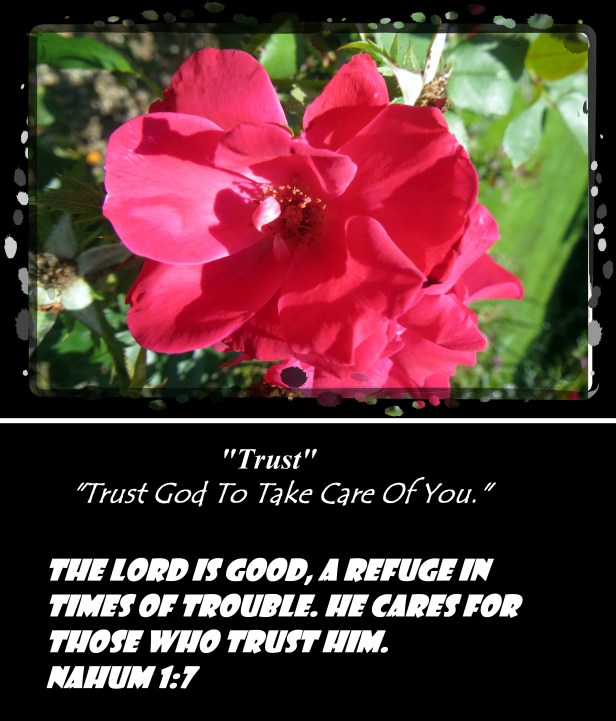 © Photo Artist Susan Ruth Robertson 090025006100 007.JPG