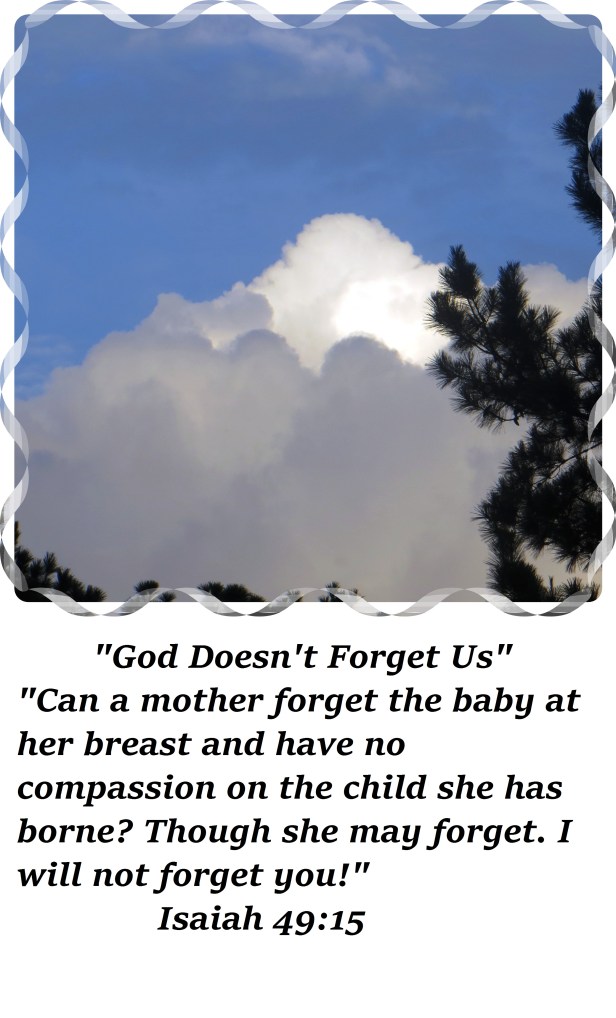 © Photo Artist Susan Ruth Robertson 090025006100 013 - Copy