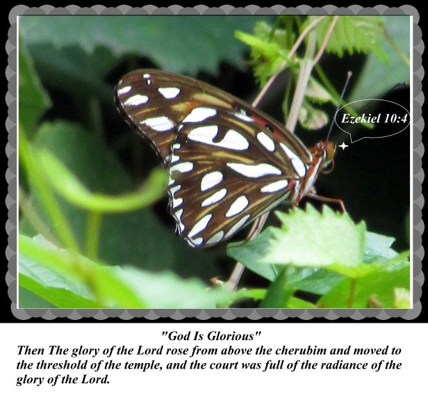 © Photo Artist Susan Ruth Robertson 090025006100 014 - Copy.JPG