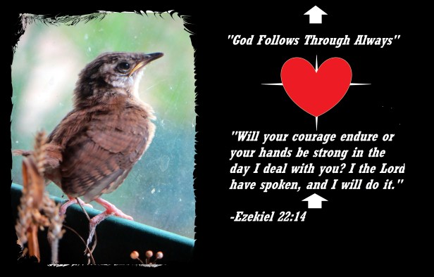 © Photo Artist Susan Ruth Robertson 090025006100 030 - Copy.JPG