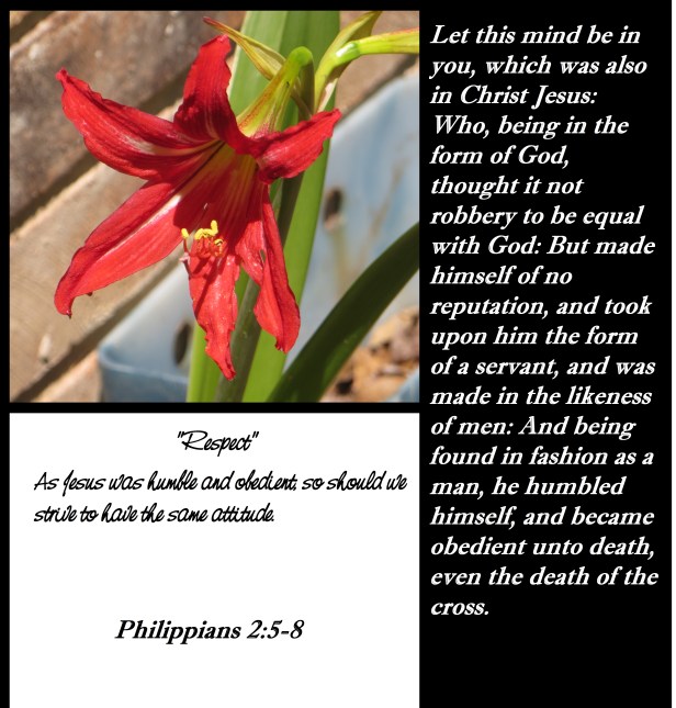 © Photo Artist Susan Ruth Robertson 090025006100 (15) - Copy.JPG