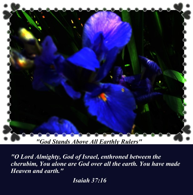 © Photo Artist Susan Ruth Robertson 090025006100 (24).JPG