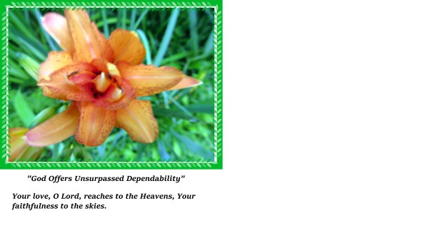 © Photo Artist Susan Ruth Robertson (3).JPG