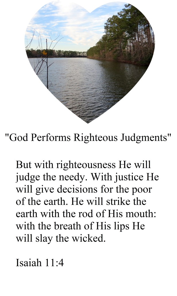 Photo Artist Susan Robertson (14) - Copy.JPG