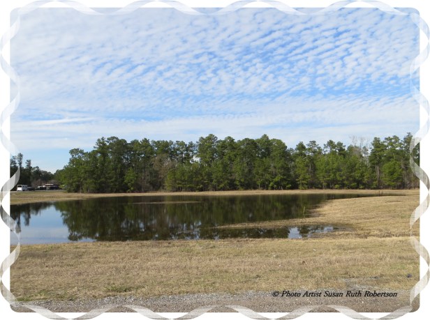 Photo Artist Susan Robertson (17).JPG